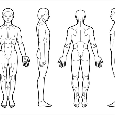 Body Diagram for Professional Massage Chart: front, back, left and ...