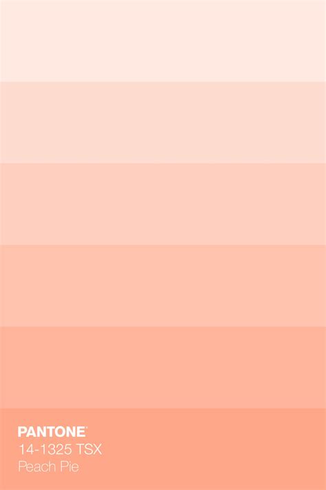 Peach Color Palettes, Pantone Colour Palettes, Pastel Colour Palette, Wedding Color Palette ...