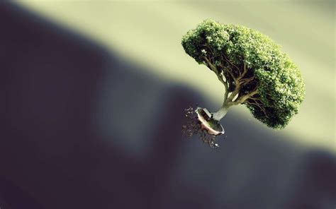 Bonsai Tree Wallpapers - Wallpaper Cave