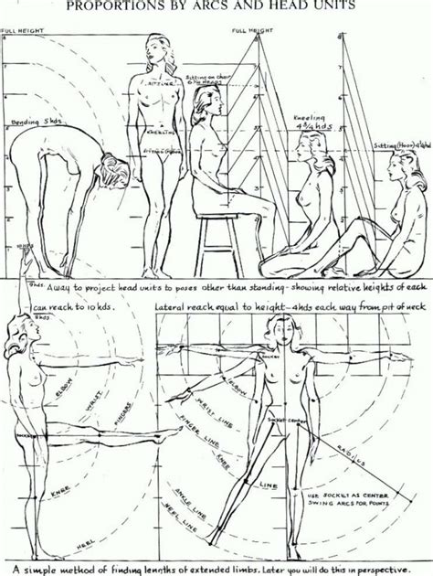 Proportions of the Human Figure : How to Draw the Human Figure in the ...