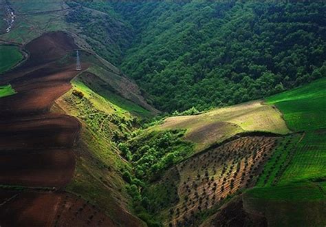 جنگل‌های هیرکانی ایران جهانی شد