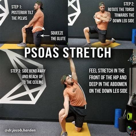 Pin on Psoas Exercises