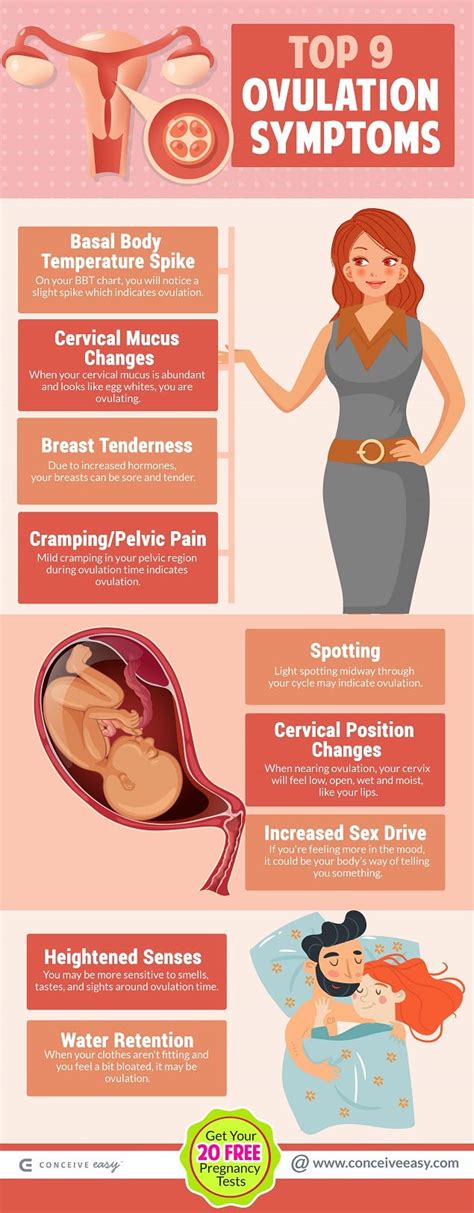 Top 9 Ovulation Symptoms Infographic | by Conceive Easy | Medium