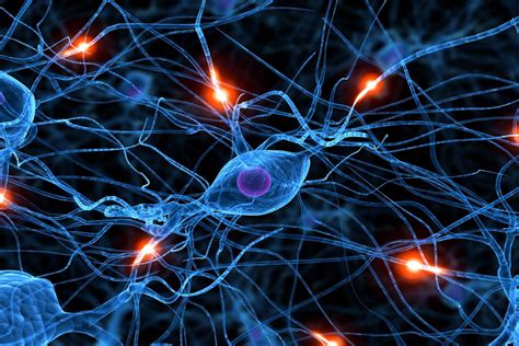 Neurotransmitters