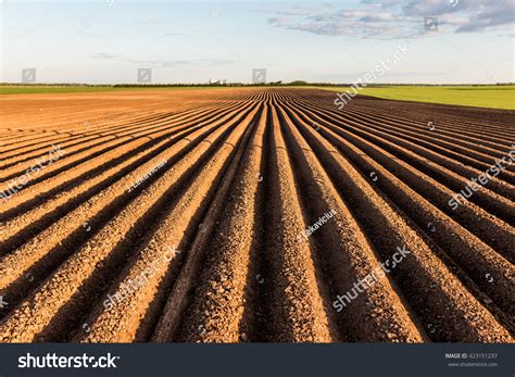 9,728 Tilling soil Images, Stock Photos & Vectors | Shutterstock