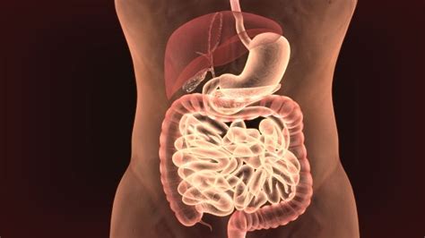 Colon Spasms: Causes, Symptoms, and Treatment Options