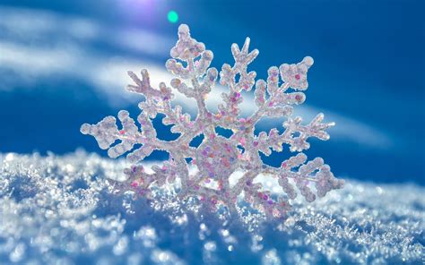 Download Nature Snowflake HD Wallpaper