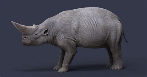 Arsinoitherium 3D model - TurboSquid 1481039