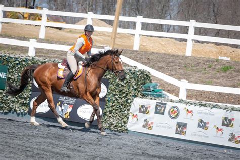 OTTBs are High-Maintenance (and so is every horse) - The Plaid Horse ...