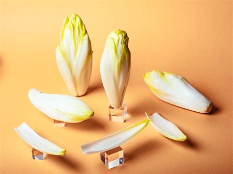 What is Endive? How to Buy, Store, and Prepare Belgian Endive