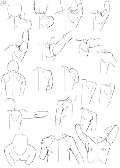 Drawing help/reference- shoulders and shoulder blades | Anatomy drawing ...