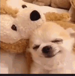 Dog Sleeping GIF - Dog Sleeping Cuddle - Discover & Share GIFs