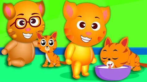 #Cats playing with his pet cat finger family Rhyme for Kids - #Funny cat compilation Finger Family