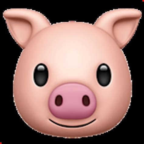 🐷 Pig Face Emoji Copy Paste 🐷