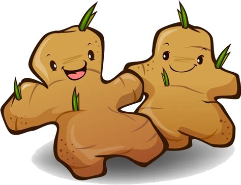 ginger cartoon png - Clip Art Library