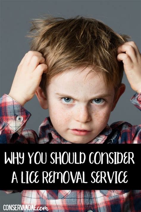 Why You Should Consider a Lice Removal Service - ConservaMom