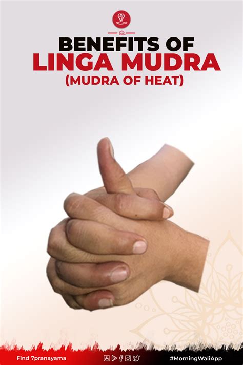 Linga Mudra: Steps, Benefits, And More - 7pranayama | Mudras, Yoga facts, Hand mudras