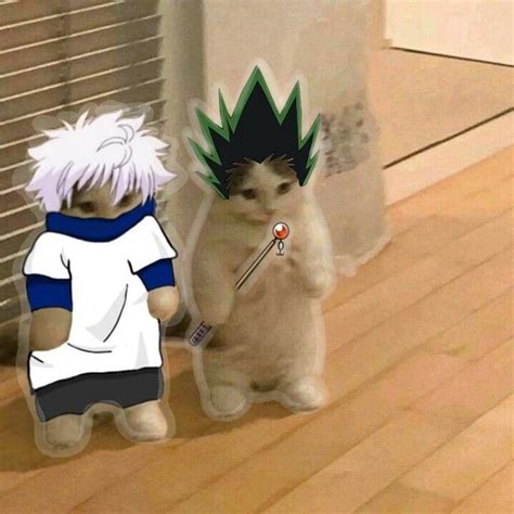 Gon x Killua | Funny anime pics, Hunter anime, Anime cat