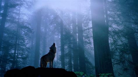 Wolf Wallpapers HD - Wallpaper Cave