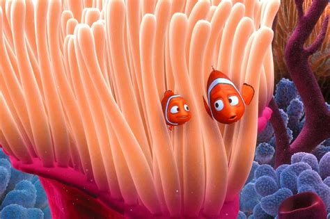 11 - Clownfish Like Nemo in 'Finding Nemo' Do Live in Sea Anemones - Top Trendly