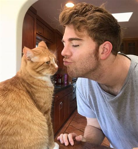 What did Shane Dawson do to his cat? YouTuber's alleged sexual act ...