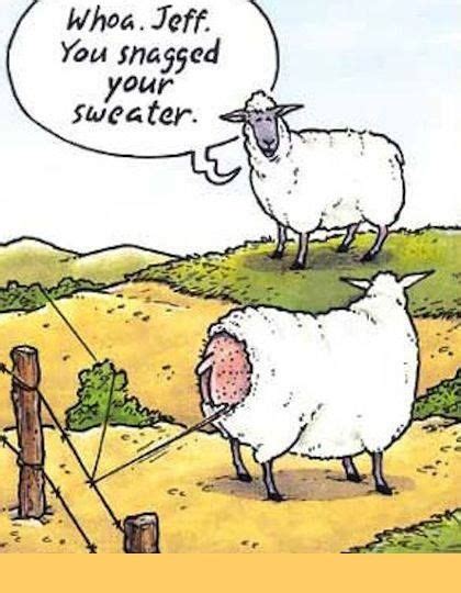 Snagged Sweater? Knitting Humor with Sheep and Yarn