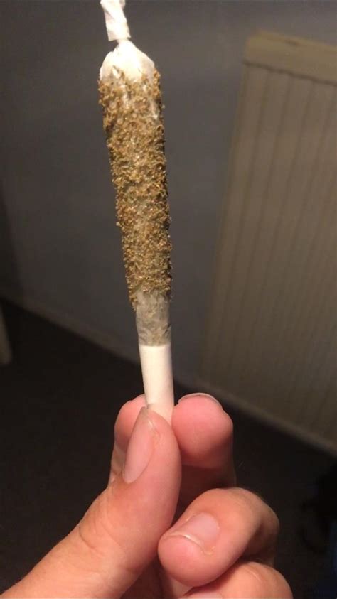 First honey kief joint : r/trees