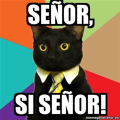 Meme Business Cat - SeÃ±or, sI SEÃ‘OR! - 9617545