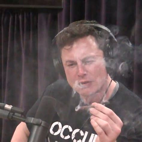 Joe Rogan Elon Musk - BerniceWatts Blog