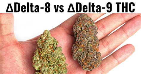 Delta-8 THC vs Delta-9 | difference between Delta 8 THC and Delta 9