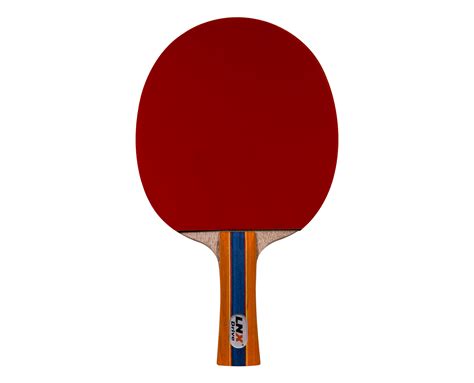 Best Cheap Ping Pong Paddle | donyaye-trade.com