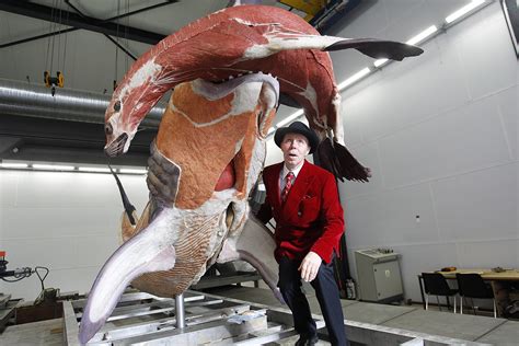 Body Worlds: Gunther von Hagens' plastination of human bodies exhibition 10th anniversary