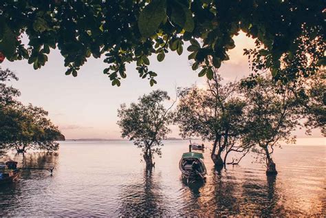 Rock Climbing in Railay, Thailand — The Discoveries Of