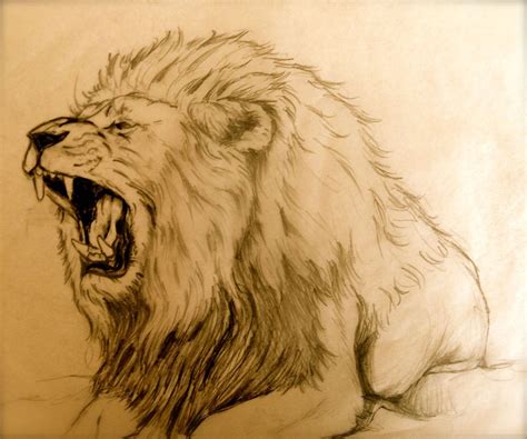 Sketch of roaring lion