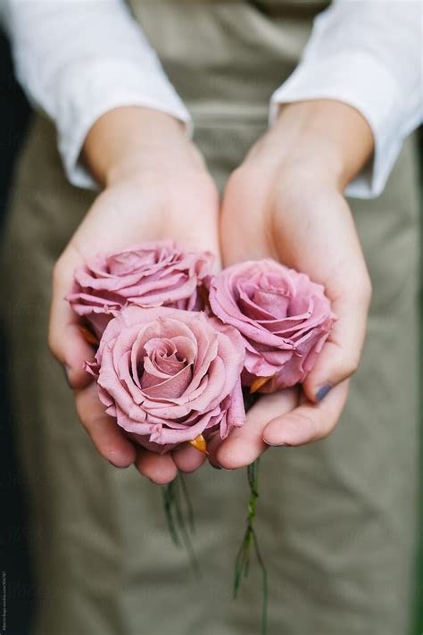 Woman holding roses by Alberto Bogo for Stocksy United | Hands holding ...