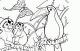 Amazon Rainforest Coloring Pages  Brazil/ For Kids sketch template