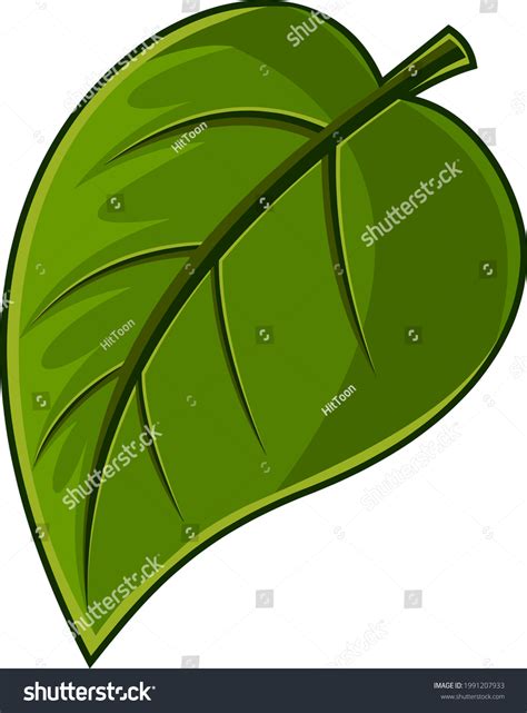 1+ Million Cartoon Leaf Royalty-Free Images, Stock Photos & Pictures | Shutterstock