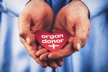 National Organ Donor Day 2024 - Feb 14, 2024