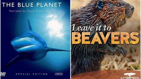 Sunday Top Ten: Spectacular Nature Documentaries For Watching While Wrapped Up In A Blanket ...