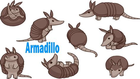 Armadillo Drawing at PaintingValley.com | Explore collection of Armadillo Drawing