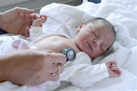 Neonatal examination - Stock Image - C001/5204 - Science Photo Library