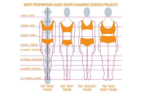 Understanding Body Proportions - The Creative Curator