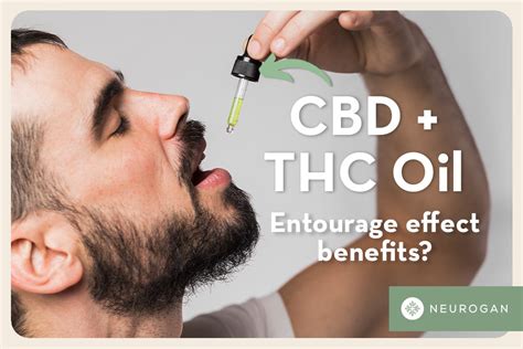 Benefits of CBD and THC Together | The Entourage Effect