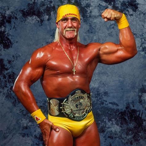 Pin by LooseCannon90 on Wrestling Champions | Hulk hogan, Hulk, Famous ...