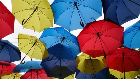 Royalty-Free photo: Assorted-color umbrella lot | PickPik