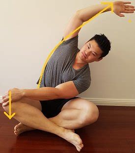 Quadratus Lumborum Stretch (12 Different exercises) - Posture Direct