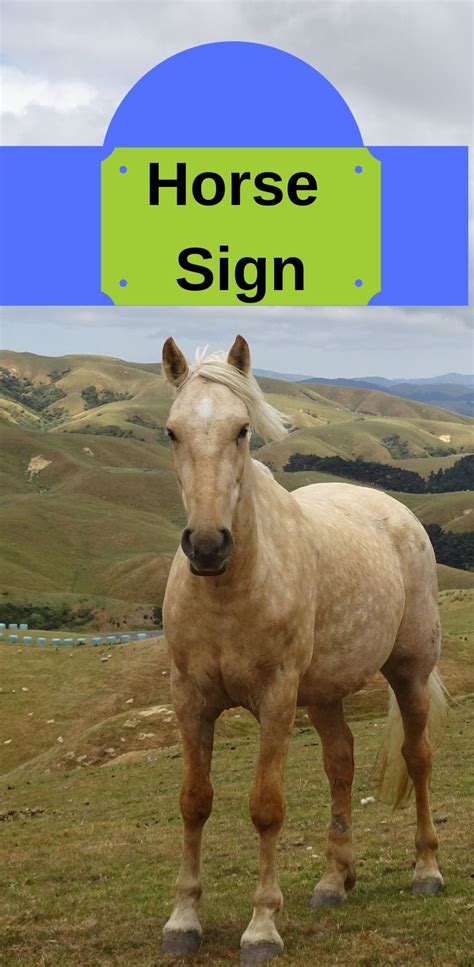 Horse Sign | Horse sign, Horse zodiac, Horses