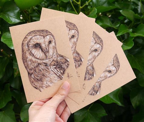 Set of 4 Barn Owl Drawing Postcards by aryalynx on DeviantArt