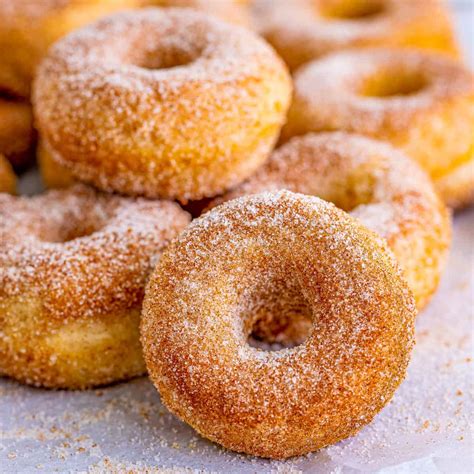 Cinnamon Sugar Mini Donuts - Tornadough Alli