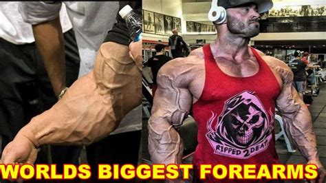 Biggest Forearms In Bodybuilding | Bodybuilders With Biggest Forearms ...